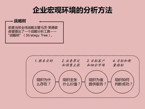 企業經營管理的29種工具 宏觀分析 產品分析 5s 羅蘭貝格等
